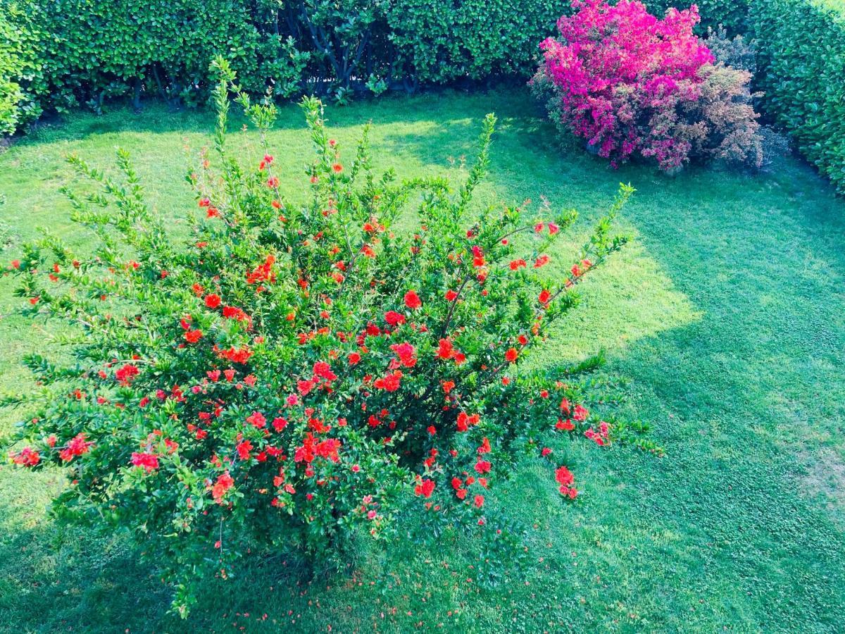 Con Giardino Al Melograno * Locarno